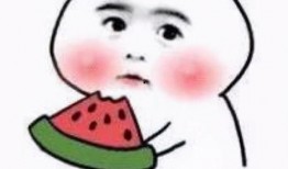 网红吃瓜小霖霖是谁啊图片,网络红人的魅力与影响力