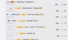 吃瓜评论区娱乐圈,揭秘明星幕后故事与真实情感