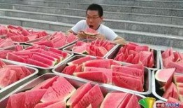 网课老师吃瓜,揭秘幕后的真相与反思