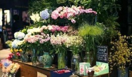 吃瓜网花店,浪漫花语，传递心意