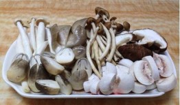 蘑菇视频爆料黑料吃瓜官网,揭秘吃瓜官网背后的真相