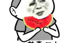 吃瓜群众网红视频下载