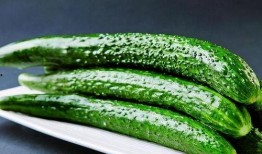 假瓜吃料网怎么打不开了