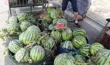 宜丰网红吃瓜事件,揭秘网络舆论的风暴与真相