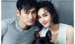 明星娱乐吃瓜君是谁啊,网络红人背后的故事