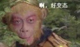 孙悟空吃瓜表情包是什么意思啊,揭秘网络流行文化的趣味解读