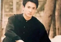 爱豆吃瓜娱乐酱沈腾,从喜剧明星到吃瓜娱乐酱的跨界之旅