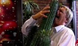 吃瓜网红三太子