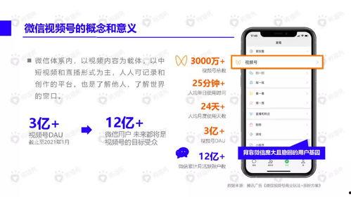 酒吧网红吃瓜视频下载,揭秘幕后故事与热门话题