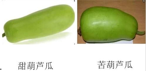 淄博桓台吃瓜爆料,吃瓜爆料，揭秘当地热点事件