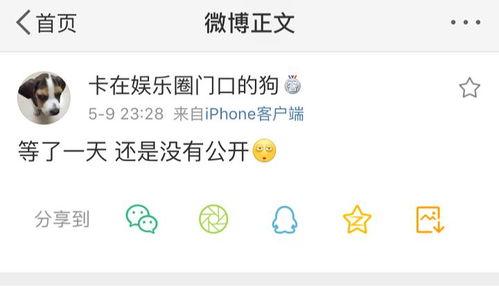 吃瓜爆料怎么整理,揭秘娱乐圈幕后真相